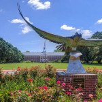 UNCW Chancellor:  Growing numbers of qualified students